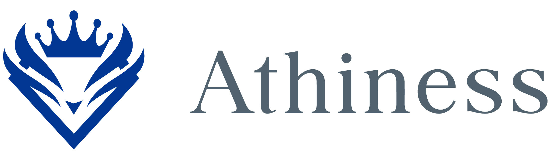 Athiness株式会社
